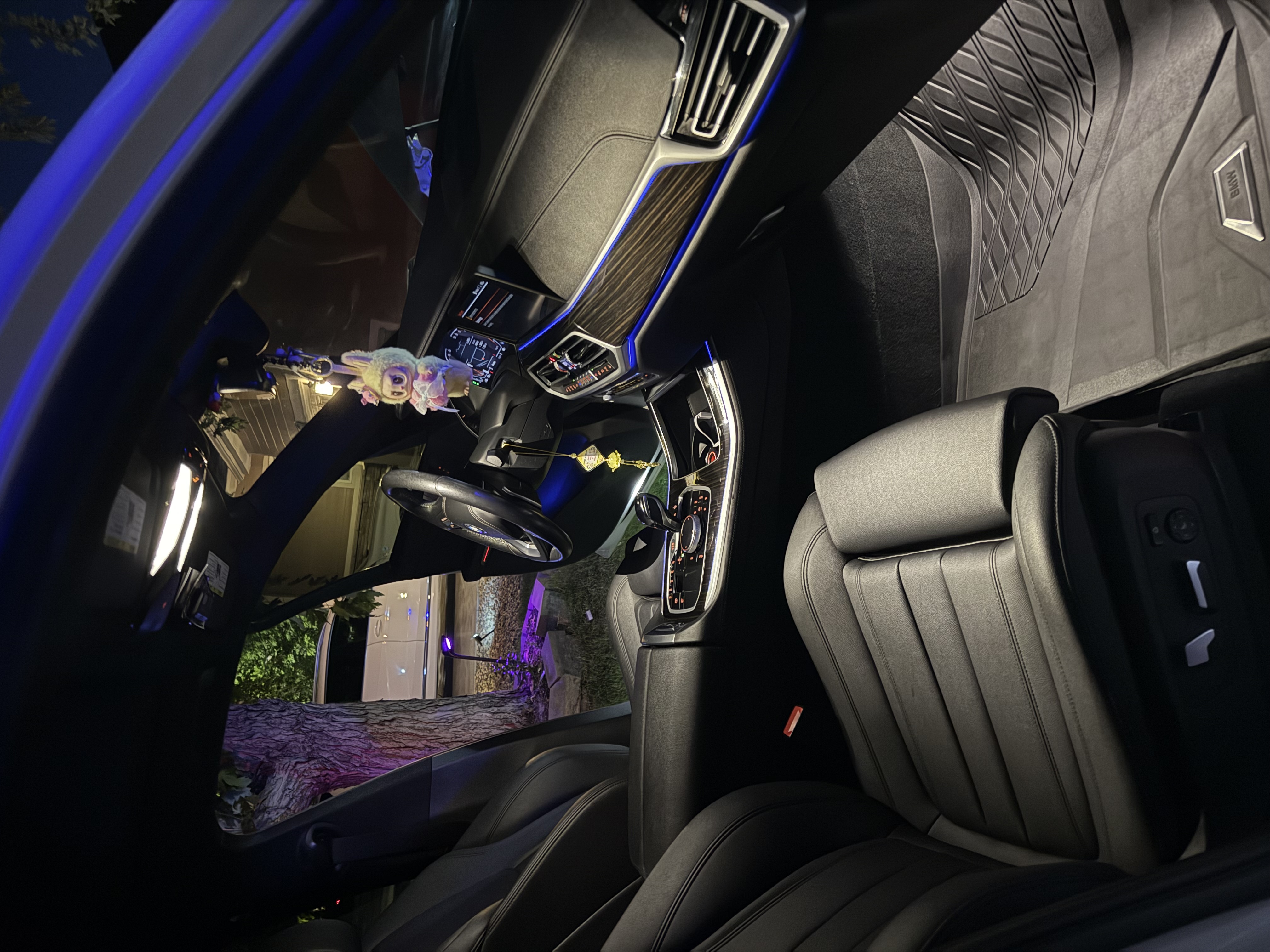 Signature Mobile Detail in Denver, Colorado detailing a BMW